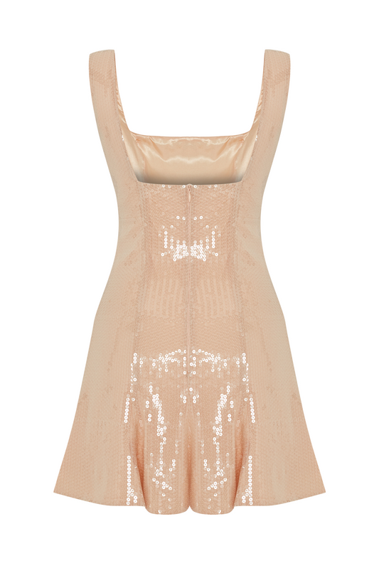 Cristina Payetli Nude Mini Elbise